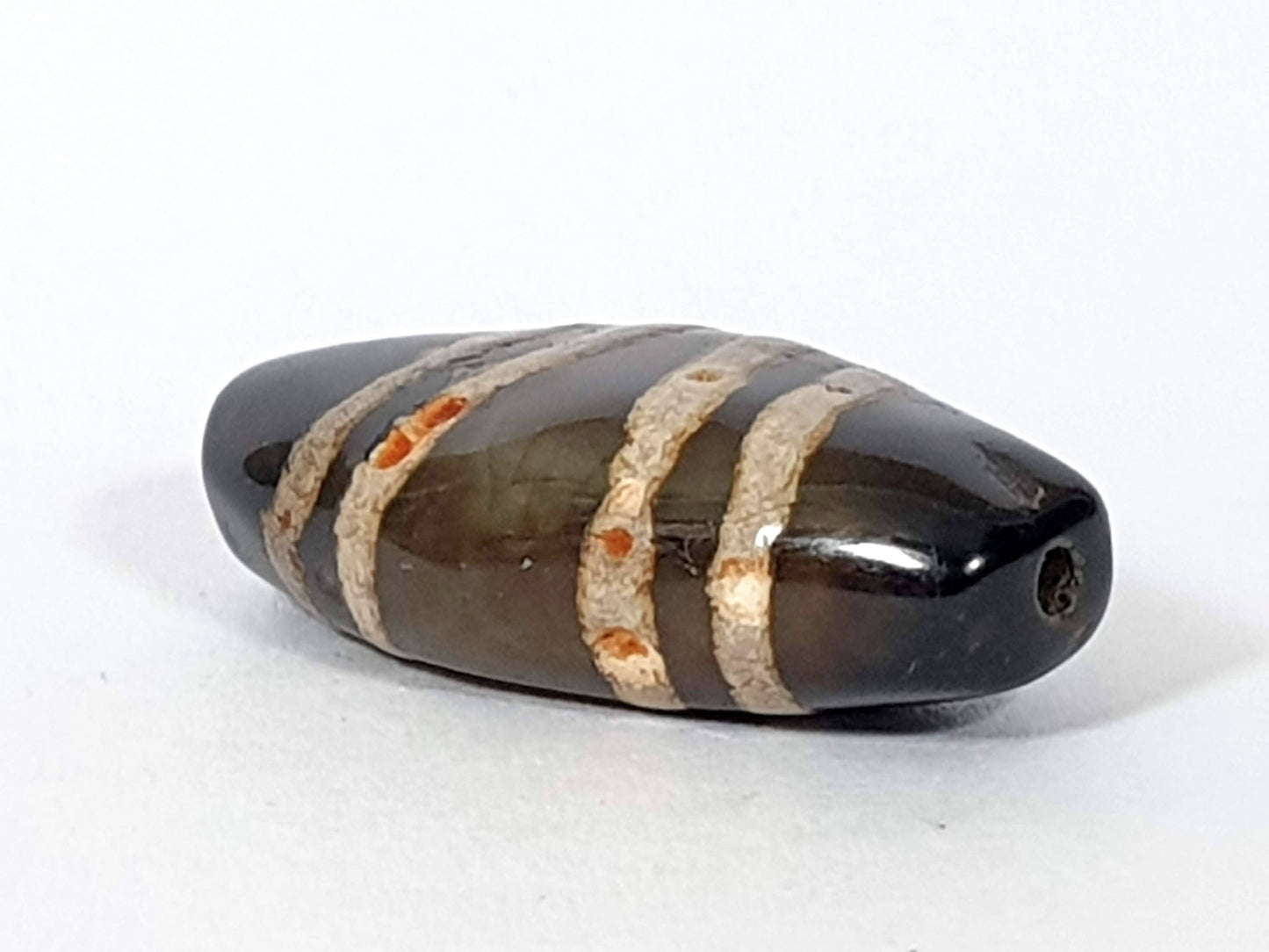 Ac-111720-7SOS, right end 3/4 view, pitch-black tip, drill hole, cinnabar bloodspot clusters in stripe bands, unretouched