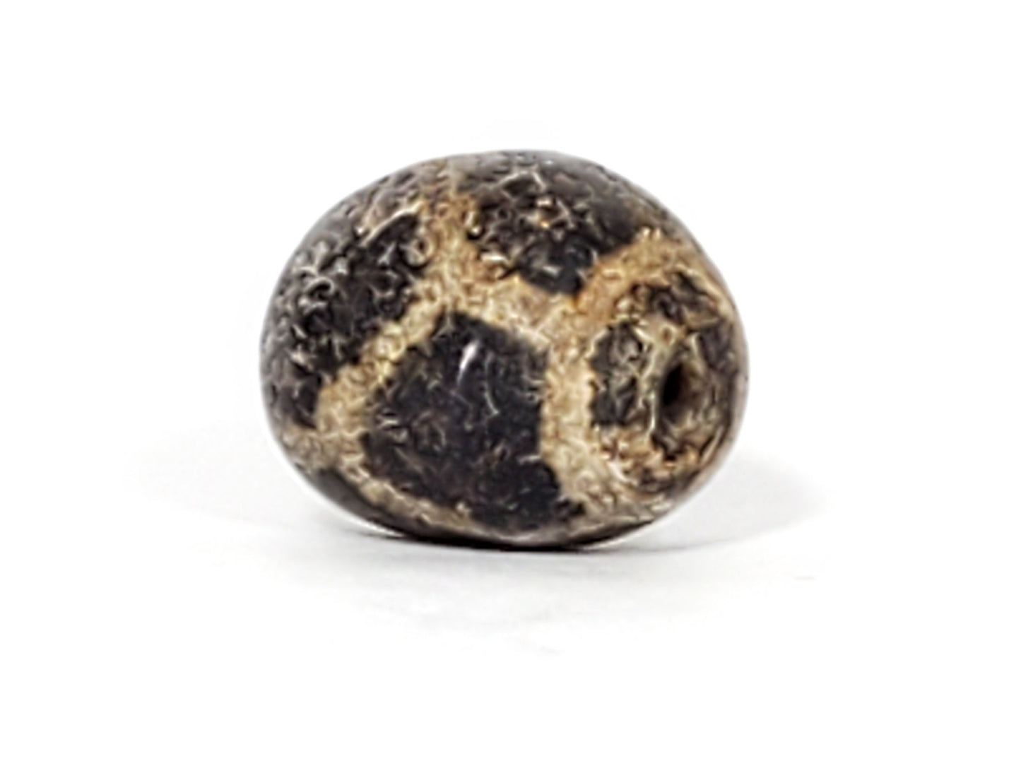 Ac-031323-LON ancient longevity tortoise shell dzi agate drill hole visible calcification ring rotation 4 unretouched