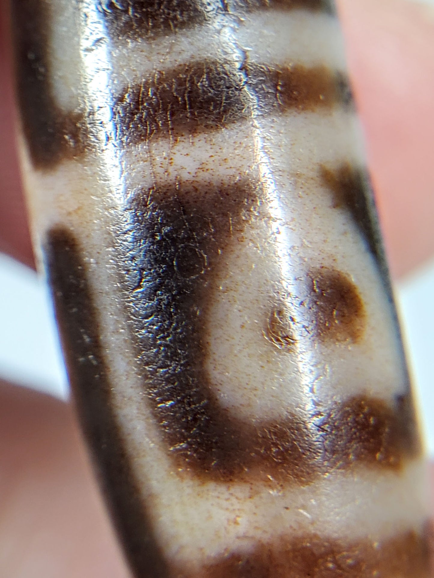 带血斑的古董四眼菩提天珠 (TiD-Ant-B-FoLB-101624)