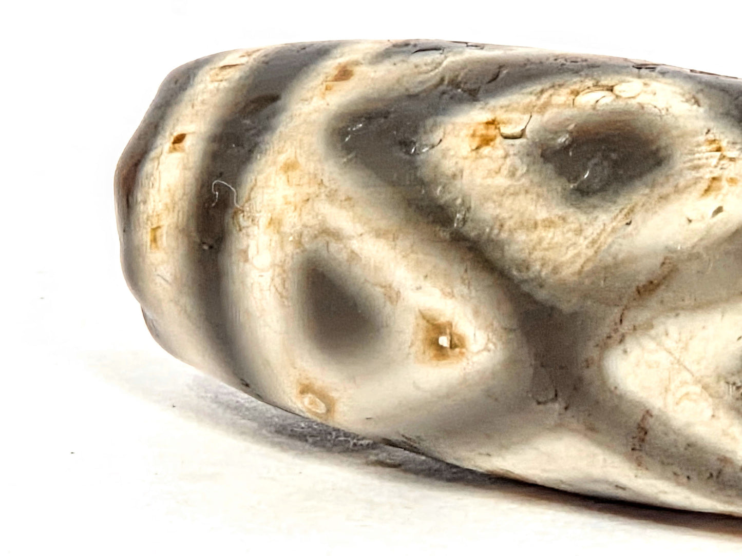 Ac-070926-3DE ancient three diamond eye tiger tooth dzi close-up opposite end tiger tooth chevron age erosion unretouched