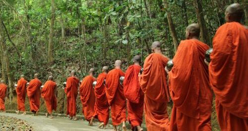 Theravada Buddhist monks in orange robes walking in single file through a forested path in Southeast Asia
