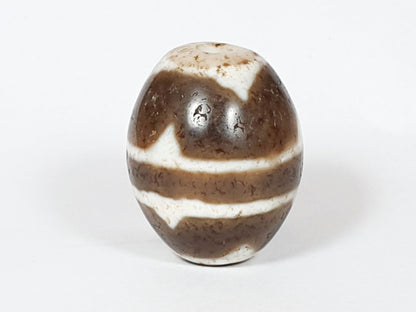 V-062926-TT second rotation, brown-dominant face, cream stripes visible, vintage Taiwan round tiger tooth, unretouched