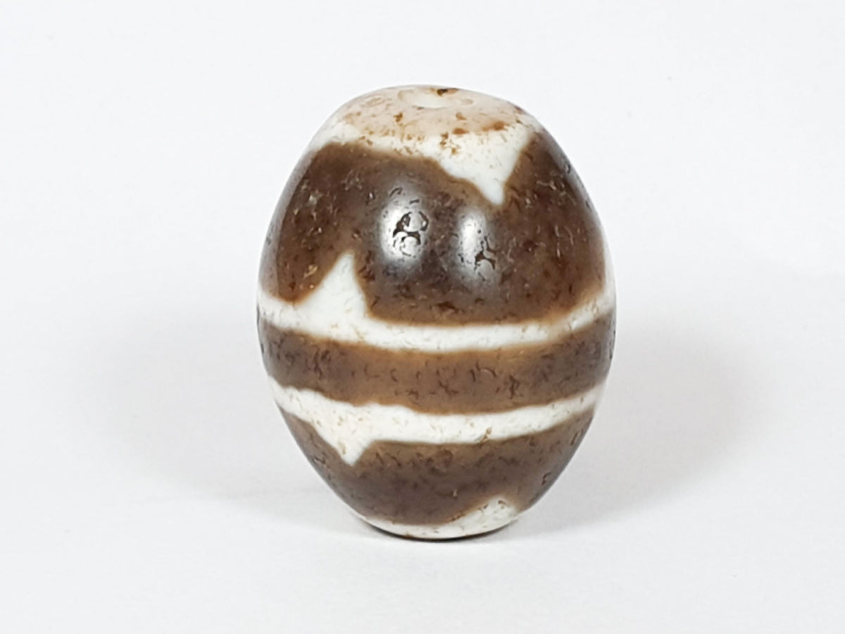 V-062926-TT second rotation, brown-dominant face, cream stripes visible, vintage Taiwan round tiger tooth, unretouched