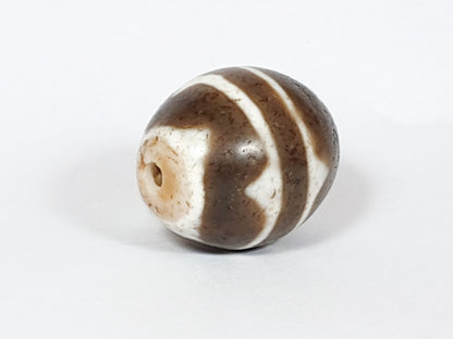 V-062926-TT drill-end second angle, cream-white field dominant, brown bands enter from edges, vintage agate, unretouched