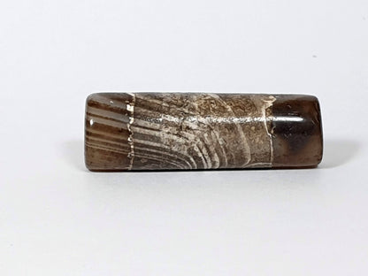 At-030420-1SNP, 30.9×9.9mm tobacco-brown cylinder dzi, heavy calcification central zone, natural agate banding, unretouched