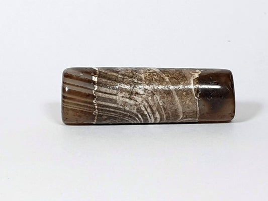 At-030420-1SNP, 30.9×9.9mm tobacco-brown cylinder dzi, heavy calcification central zone, natural agate banding, unretouched