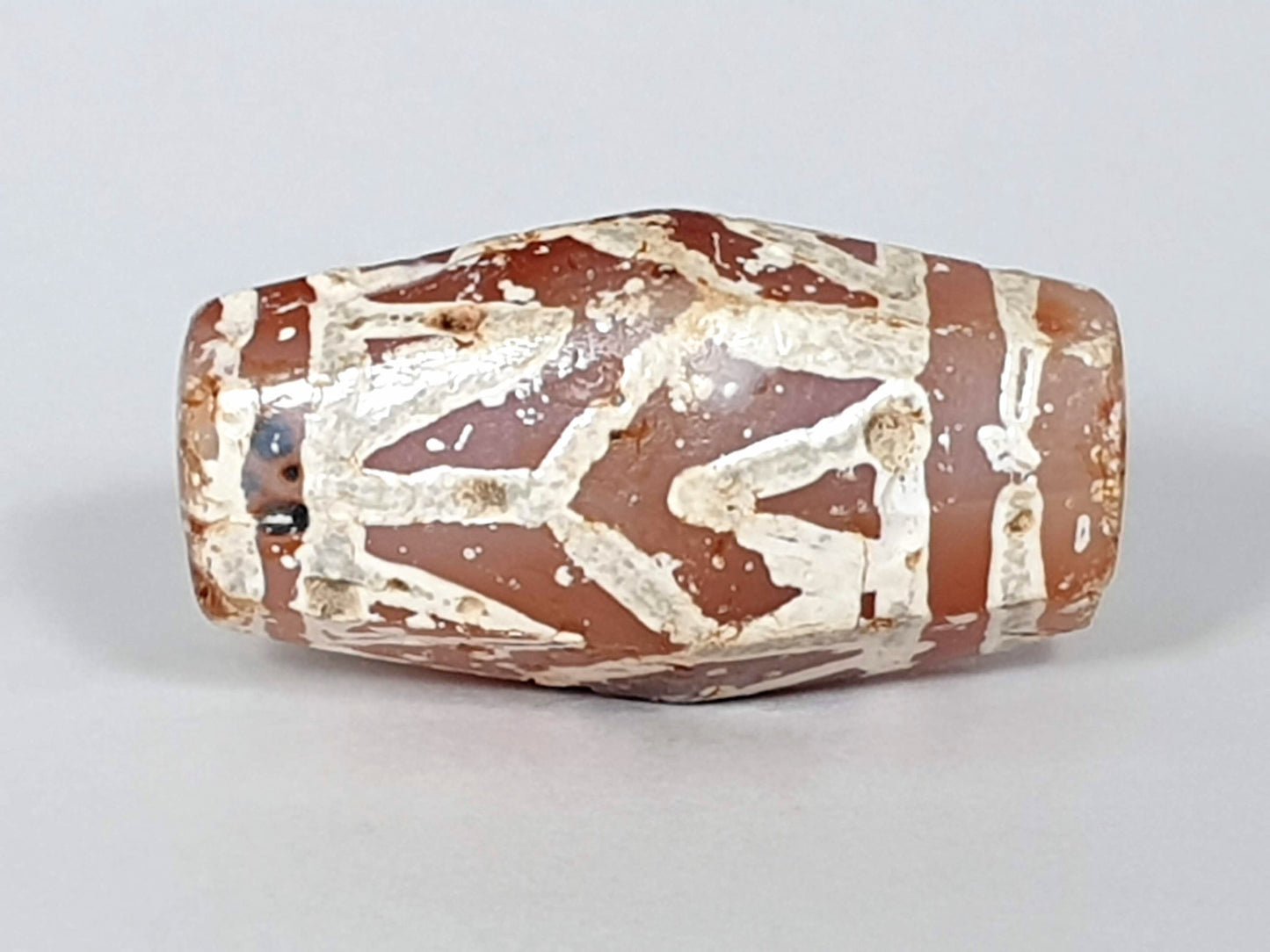 Ac-032320-LTT opposite face, lotus petal zones and chevron motif, cream-white mineralised lines, unretouched