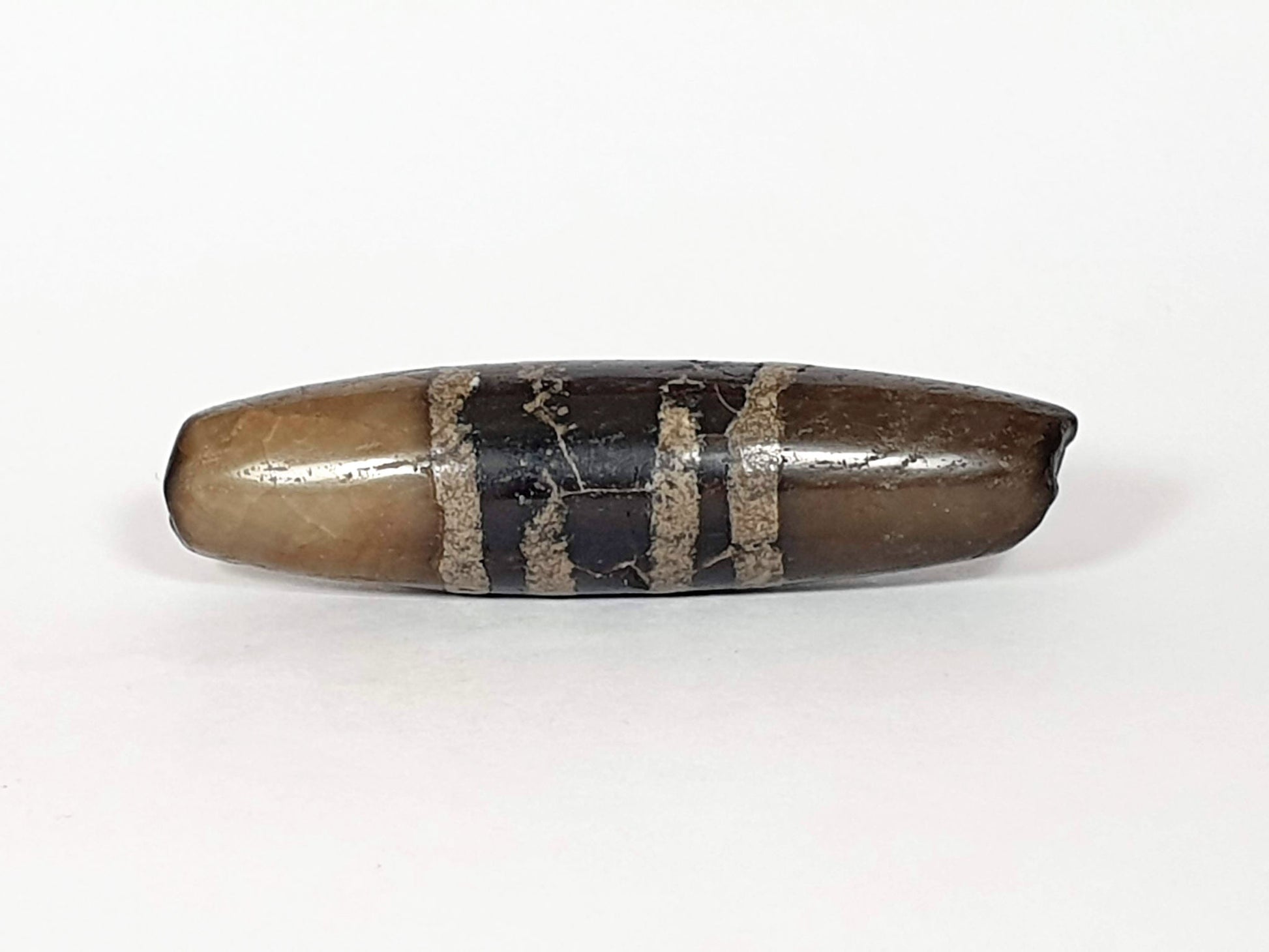 Ac-041320-7SChung ancient Chung dzi, Face D, cooler grey-brown ground variation, sandy-tan stripe bands, unretouched