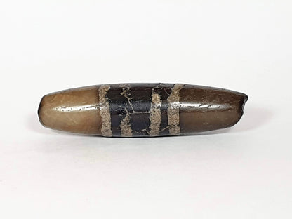 Ac-041320-7SChung ancient Chung dzi, Face D, cooler grey-brown ground variation, sandy-tan stripe bands, unretouched