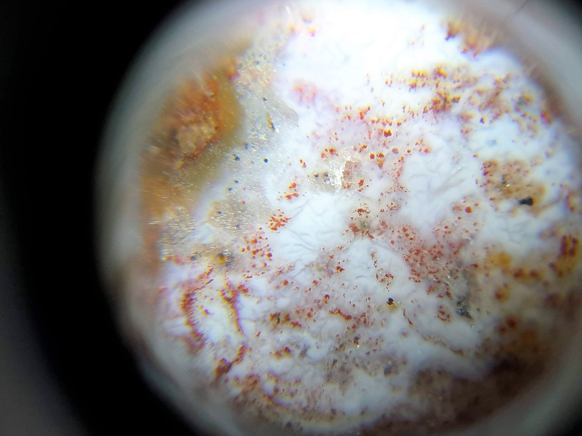N-062126-DW dzi bead, macro view of cream zone showing cinnabar dot clusters, unretouched