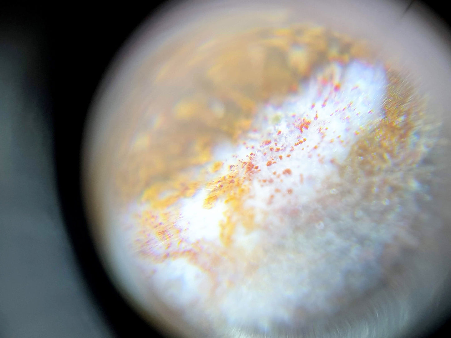 N-062126-DW dzi bead, macro view of cinnabar inclusions, warmer toned region, unretouched