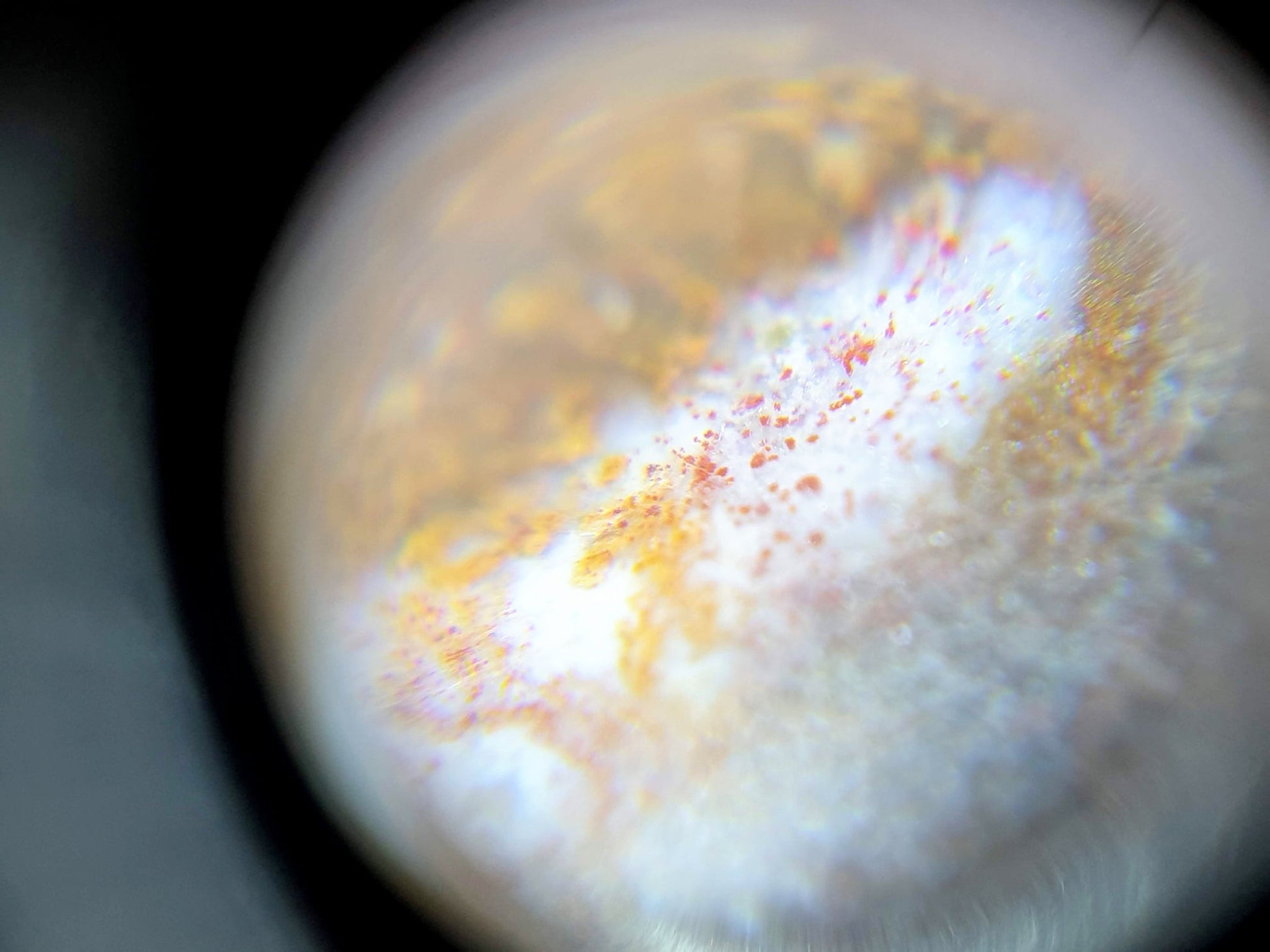 N-062126-DW dzi bead, macro view of cinnabar inclusions, warmer toned region, unretouched