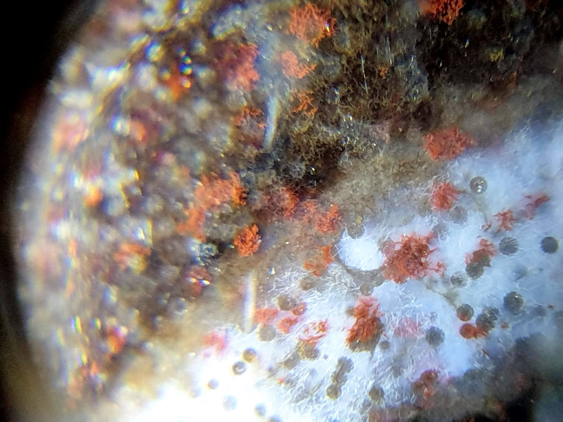 N-062126-HE dzi bead, macro view of dual-zone cinnabar clusters, unretouched