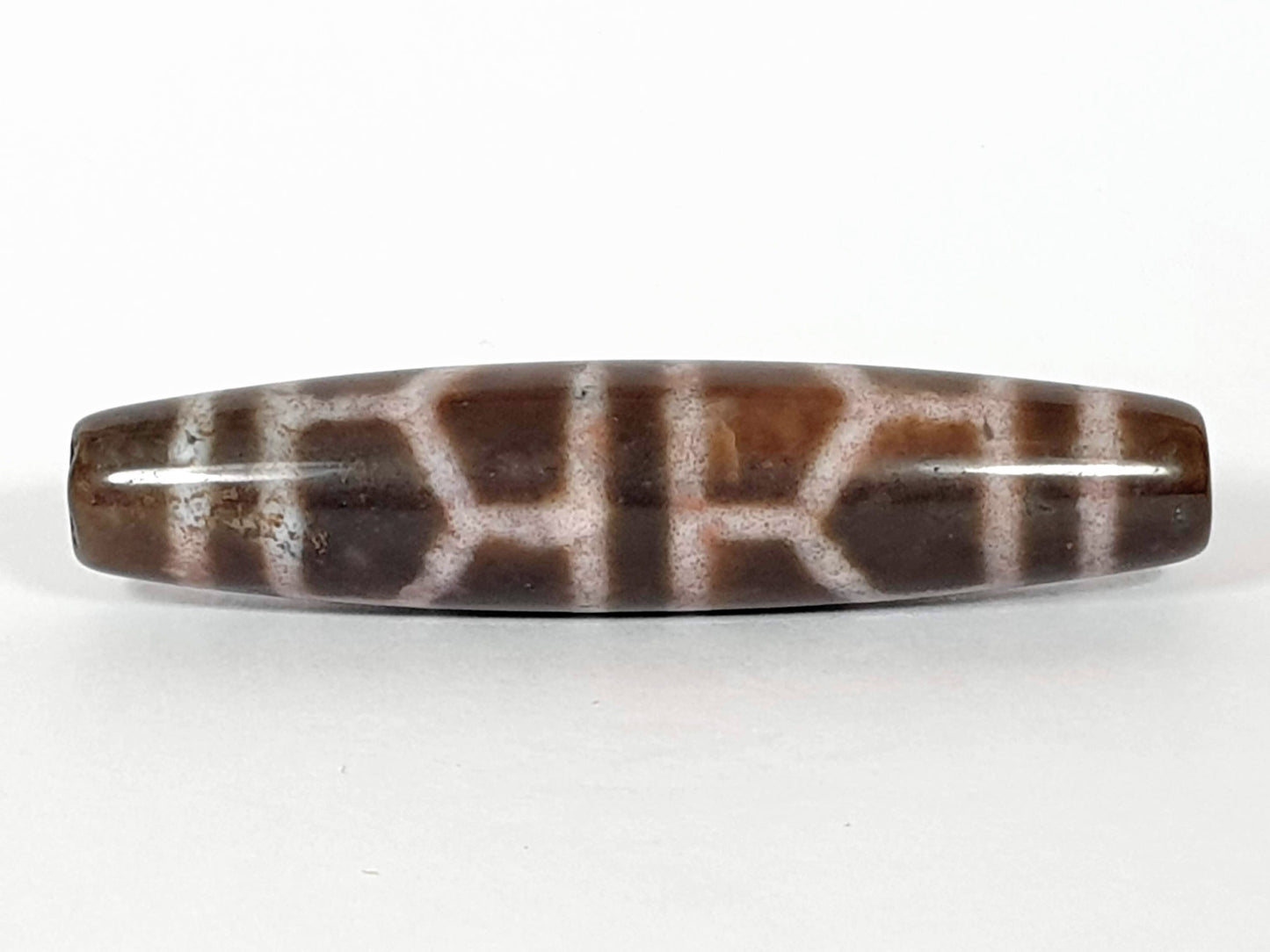 N-062226-DLBS, face C, honey-brown ground variation visible, full tortoise shell cell grid, fusiform form, unretouched