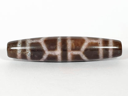 N-062226-DLBS, face C, honey-brown ground variation visible, full tortoise shell cell grid, fusiform form, unretouched
