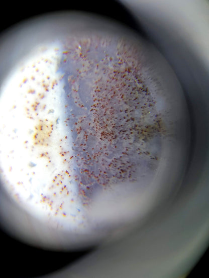 N-062426-TTBS macro loupe bloodspot cinnabar constellation rust-red pinpoints dense cream zone Bead B unretouched
