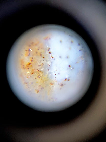 N-062126-2E dzi bead, macro view of cinnabar dot field, cream zone, unretouched