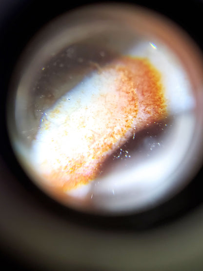 At-092823-6EBS3 microscope golden-brown cinnabar dots scattered pale zone eye boundary dzi unretouched