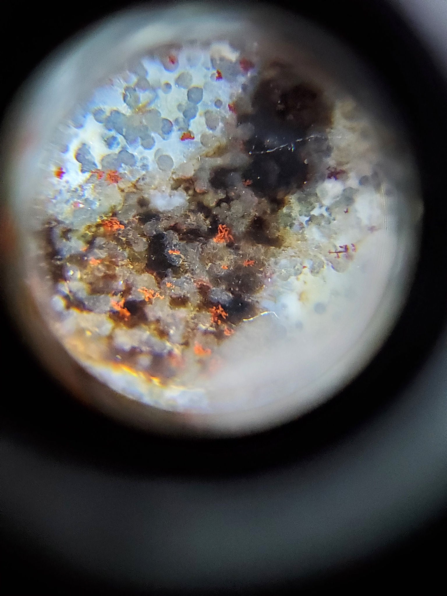 N-062126-12E-2 dzi bead, macro view of sparse cinnabar specks, cream zone, unretouched