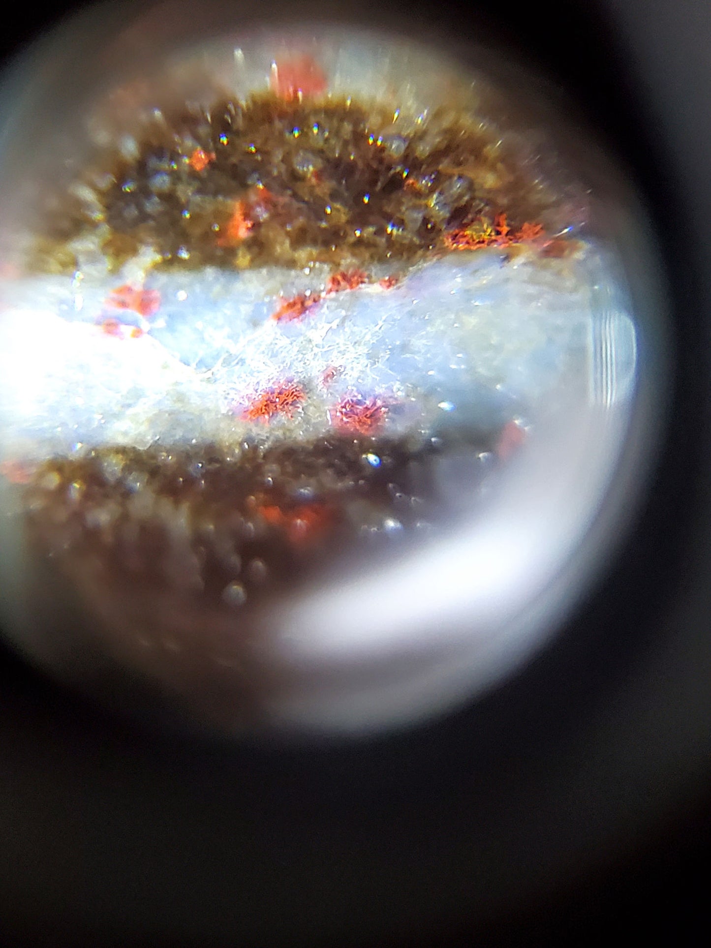 N-062126-12E-1 dzi bead, macro view of dual-zone cinnabar clusters, unretouched