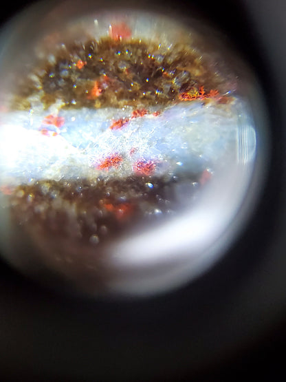 N-062126-12E-1 dzi bead, macro view of dual-zone cinnabar clusters, unretouched