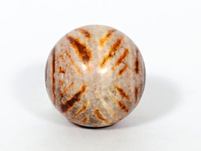 Ac-030623-DDIE carnelian dzi second long face, tiger tooth chevrons and star dot, wave lines, unretouched