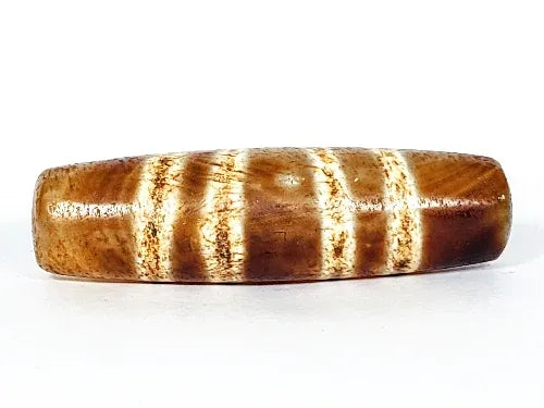 Ac-031322-7SChung, Face D upper profile, substantial cylindrical body width, warm brown ground, diagonal stripes, unretouched