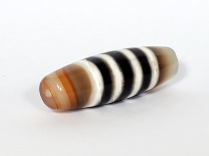 N-050222-7SChung, left tip, warm brown agate with orange-brown natural banding, contrasting right end cap, unretouched