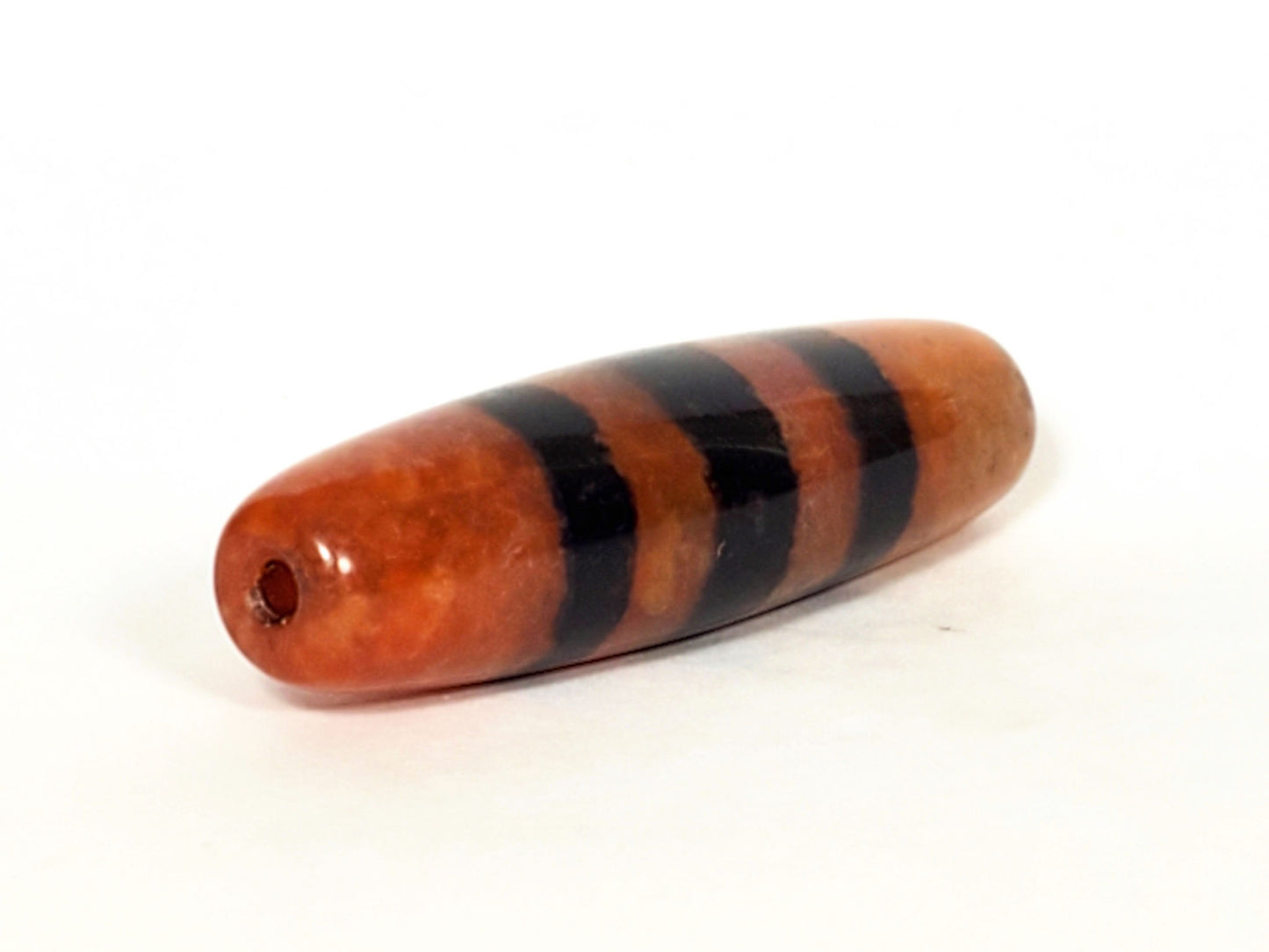 At-070622-5SChung, left tip, acute taper, drill hole with reddish-brown interior, vivid terracotta end cap, unretouched