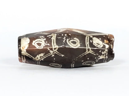 Ac-030223-12E top face, 3 eyes on deep grey-brown ground, cream-white hexagonal cell framing, unretouched