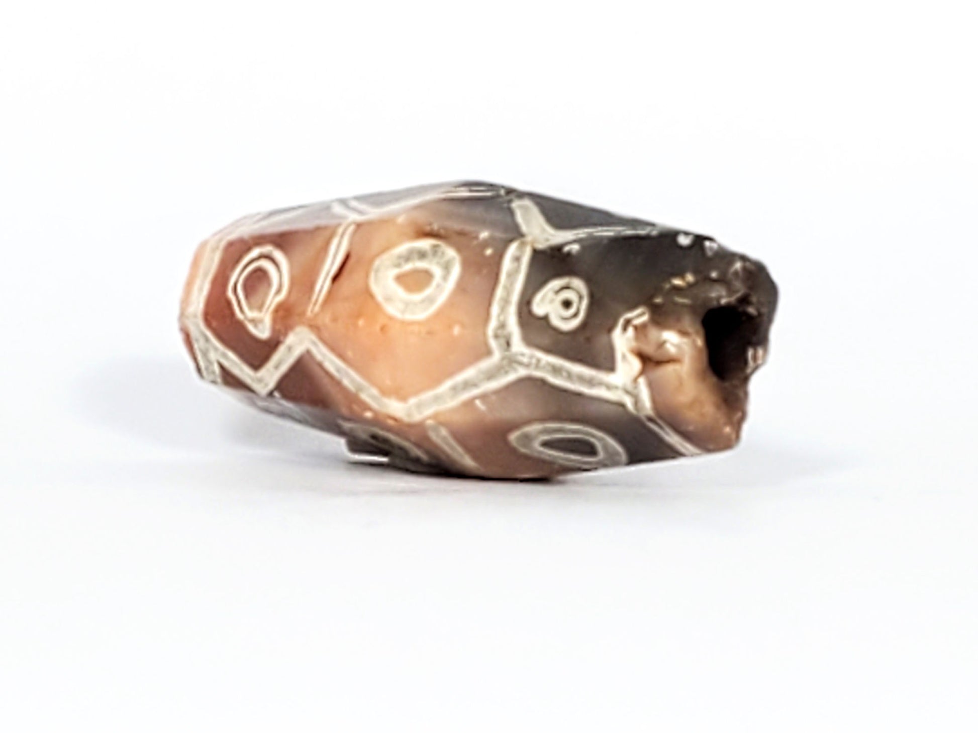 Ac-030223-12E two faces visible, terracotta-orange to grey-brown transition, multiple eyes, end chip disclosed, unretouched