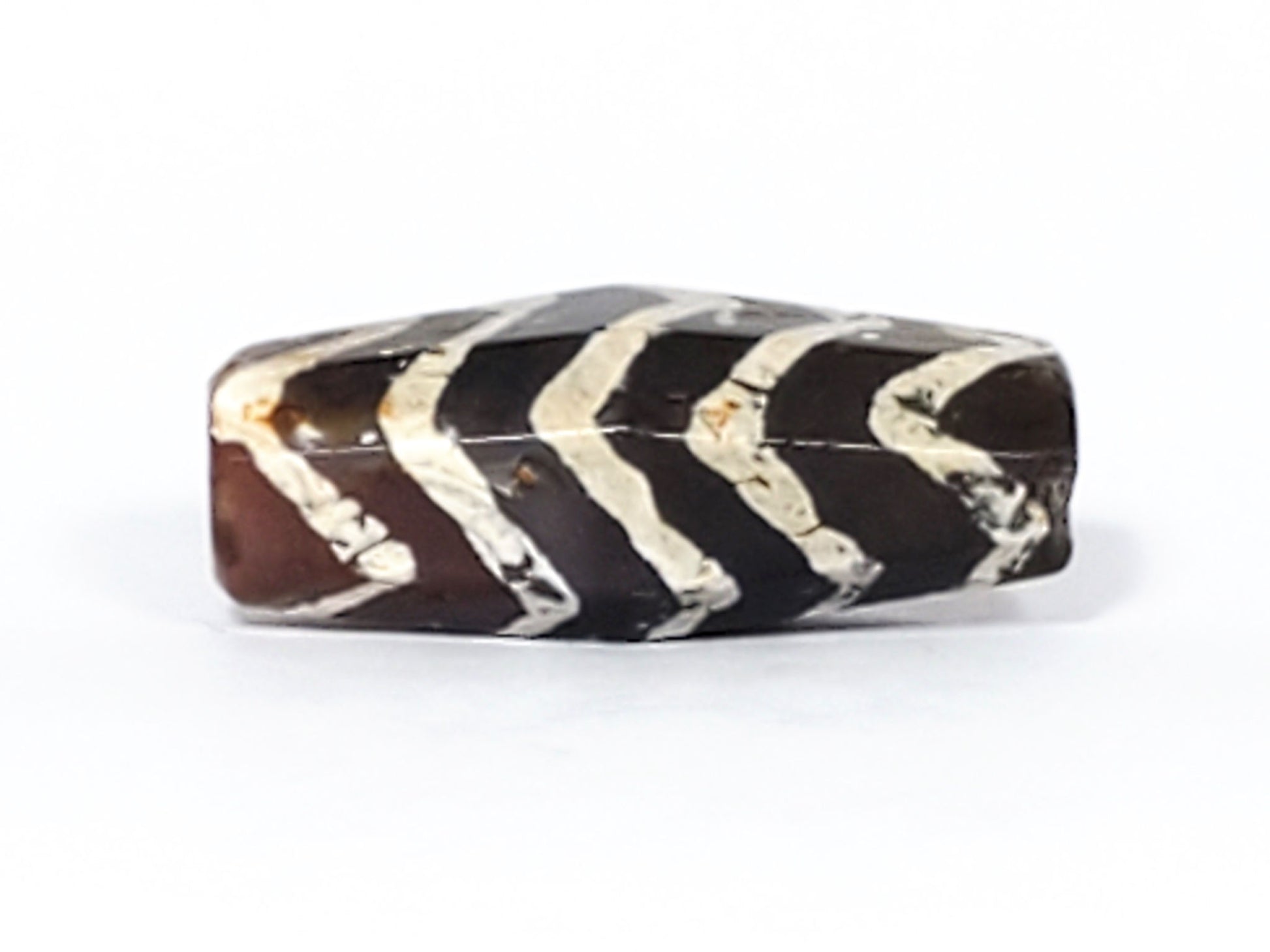 Ac-030823-5TS2 lower face, rectangular barrel cross-section confirmed, 5 dark chevron bands, bright white lines, unretouched