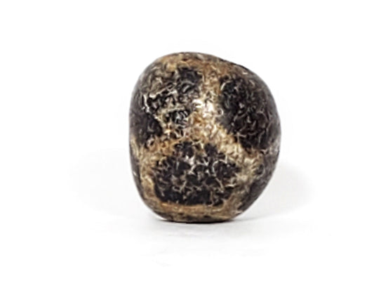 Ac-031323-LON ancient longevity tortoise shell dzi 15.9x14.4mm near-spherical agate calcification rotation 1 unretouched