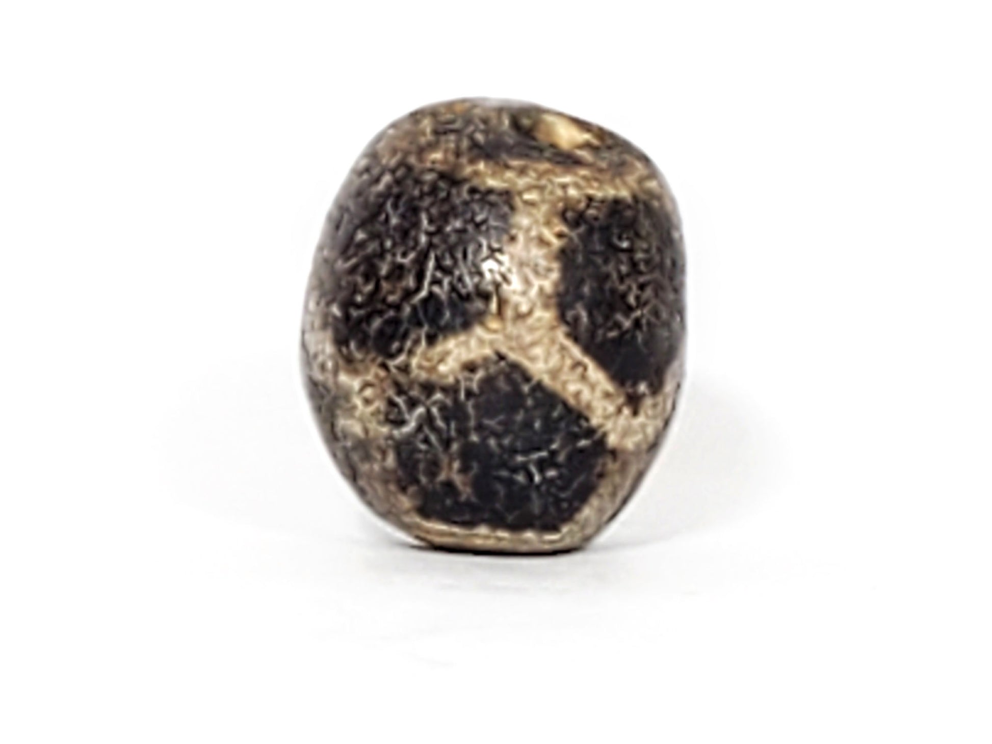 Ac-031323-LON ancient longevity tortoise shell dzi agate heavy calcification branching deposit rotation 2 unretouched