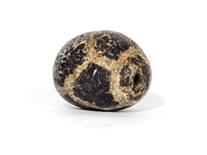 Ac-031323-LON ancient longevity tortoise shell dzi agate drill hole visible calcification ring rotation 4 unretouched
