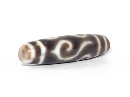 Ac-061926-DC4E angled tip A, conch S-curve scroll, honey-brown end cap, semi-matte surface, unretouched