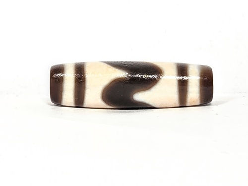 V-030326-TTBS vintage tiger tooth dzi, rotated 90°, cream dominant, dark dark brown arcs visible, unretouched.
