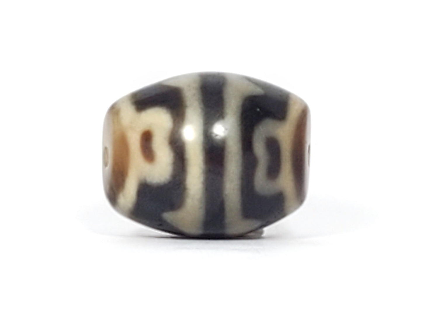 At-061826-RTTL Face C, compound tiger tooth and lotus forms, deep dark grey-brown ground, unretouched