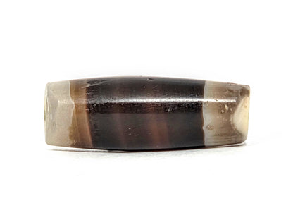 Ac-061526-1SBW, Face A lateral, dark belly body, pale translucent end caps, honey-brown transitions, unretouched