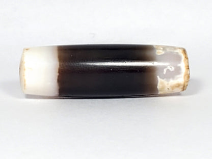 Ac-061426-1SChungBS ancient Chung dzi, 31.4×9.6mm, Face A, pitch-black body, bright white/calcified ends, unretouched