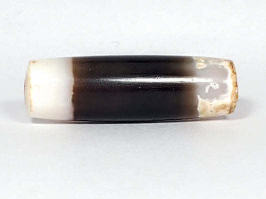 Ac-061426-1SChungBS ancient Chung dzi, 31.4×9.6mm, Face A, pitch-black body, bright white/calcified ends, unretouched
