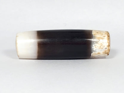 Ac-061426-1SChungBS ancient Chung dzi, Face C, soft white-to-black gradient transition, calcification at right, unretouched