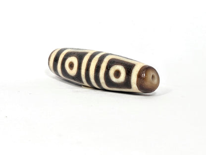 Ac-080425-4E right drill hole end, warm honey-brown end cap, square-framed eyes wrapping body, unretouched