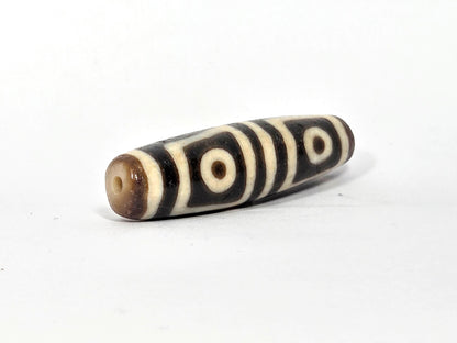Ac-080425-4E left drill hole end, honey-brown tip, two Face A square-framed eyes visible from end, unretouched