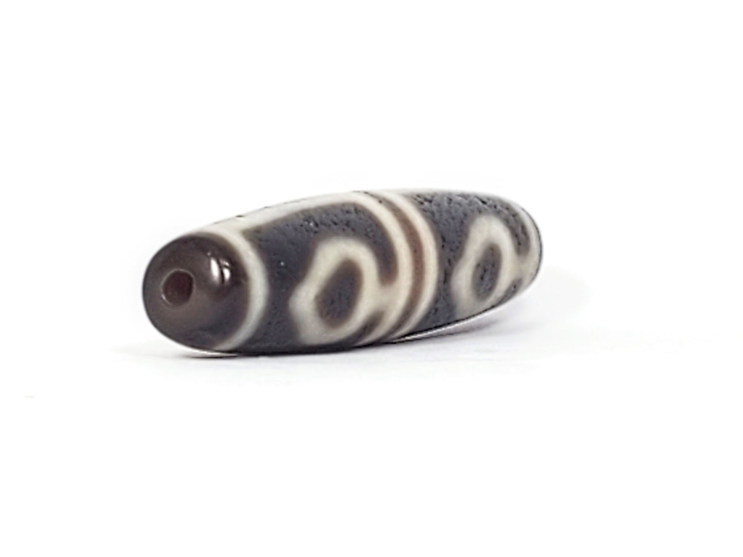 Ac-061826-FLB2 left drill hole end, cool grey-brown tip, leaf oval forms visible from end perspective, unretouched