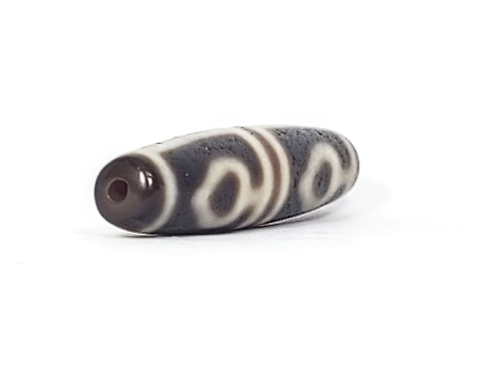 Ac-061826-FLB2 left drill hole end, cool grey-brown tip, leaf oval forms visible from end perspective, unretouched