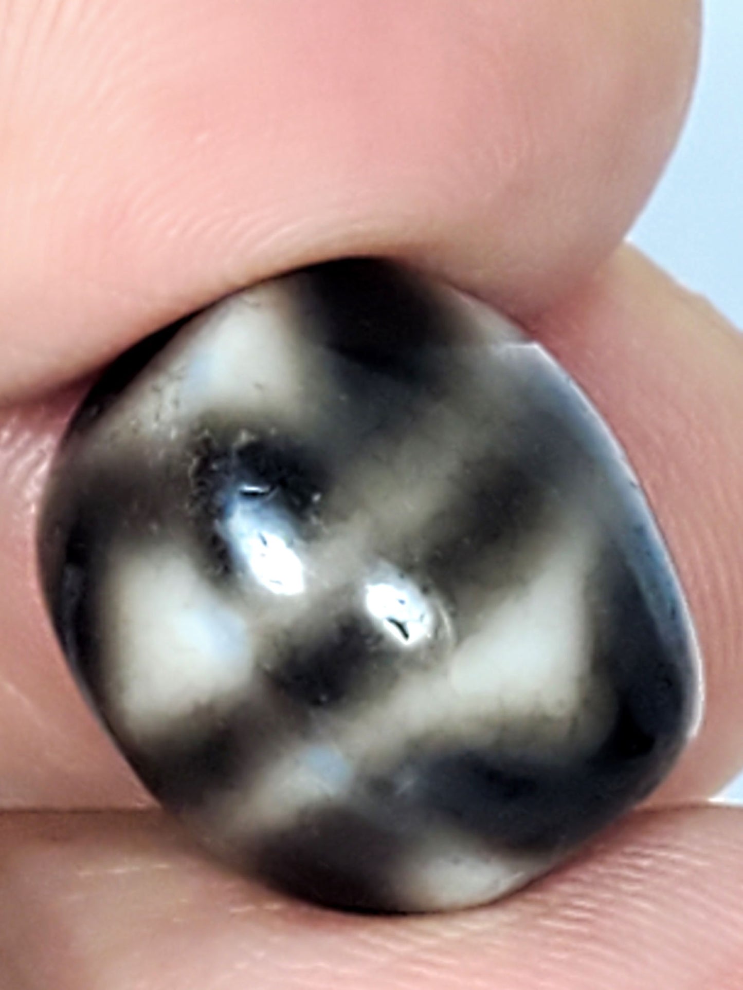 Ac-021724-TT ancient round tiger tooth dzi, macro face close-up, grey-cream tooth zone detail, unretouched