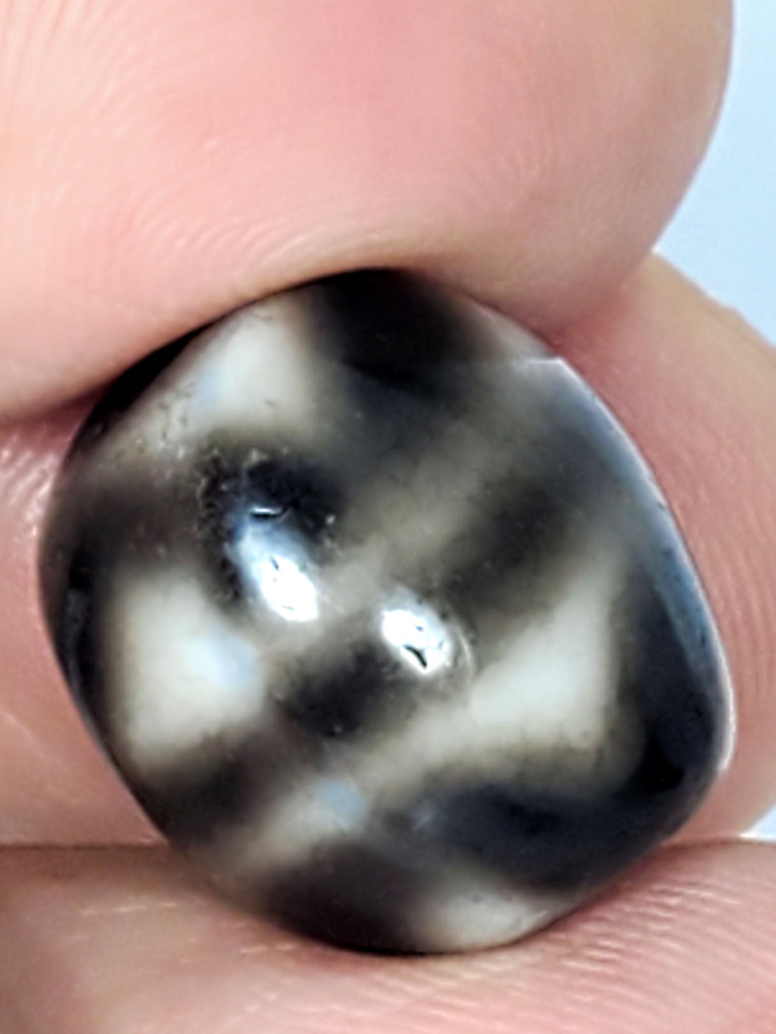 Ac-021724-TT ancient round tiger tooth dzi, macro face close-up, grey-cream tooth zone detail, unretouched