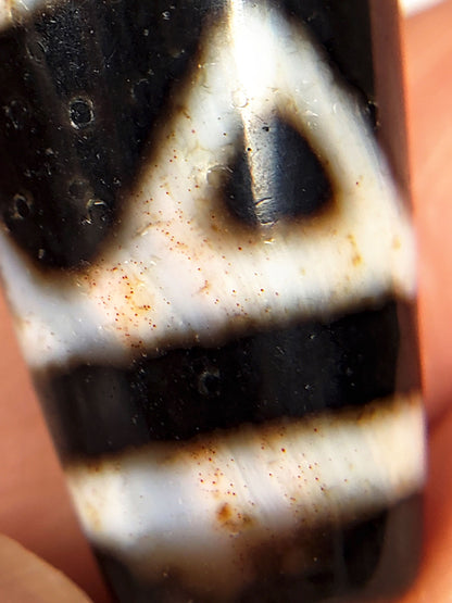 At-070926-3ETTBS macro detail three eye tiger tooth dzi cinnabar bloodspot vermillion pinpoints cream zone unretouched