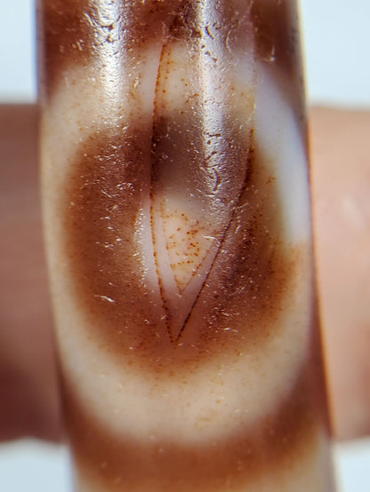 At-102324-DHGE macro gate interior rust-orange cinnabar micro-dots warm cream oval unretouched